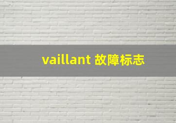 vaillant 故障标志